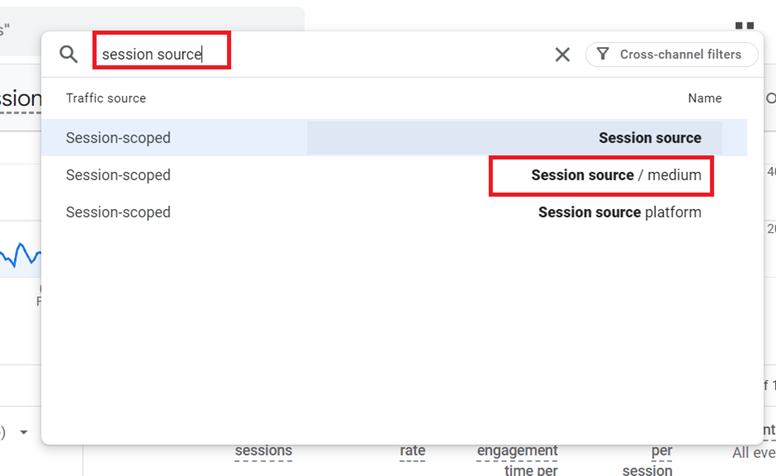 session source medium
