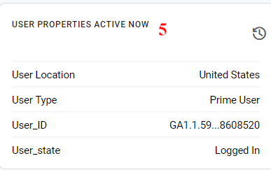 shows the latest state of the set of User Properties for the currently selected debugging device