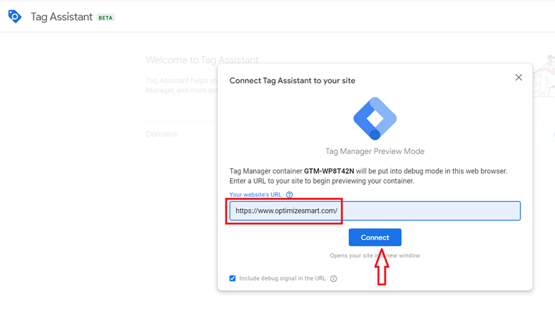 Enter your website address and then click on the ‘Connect‘ button